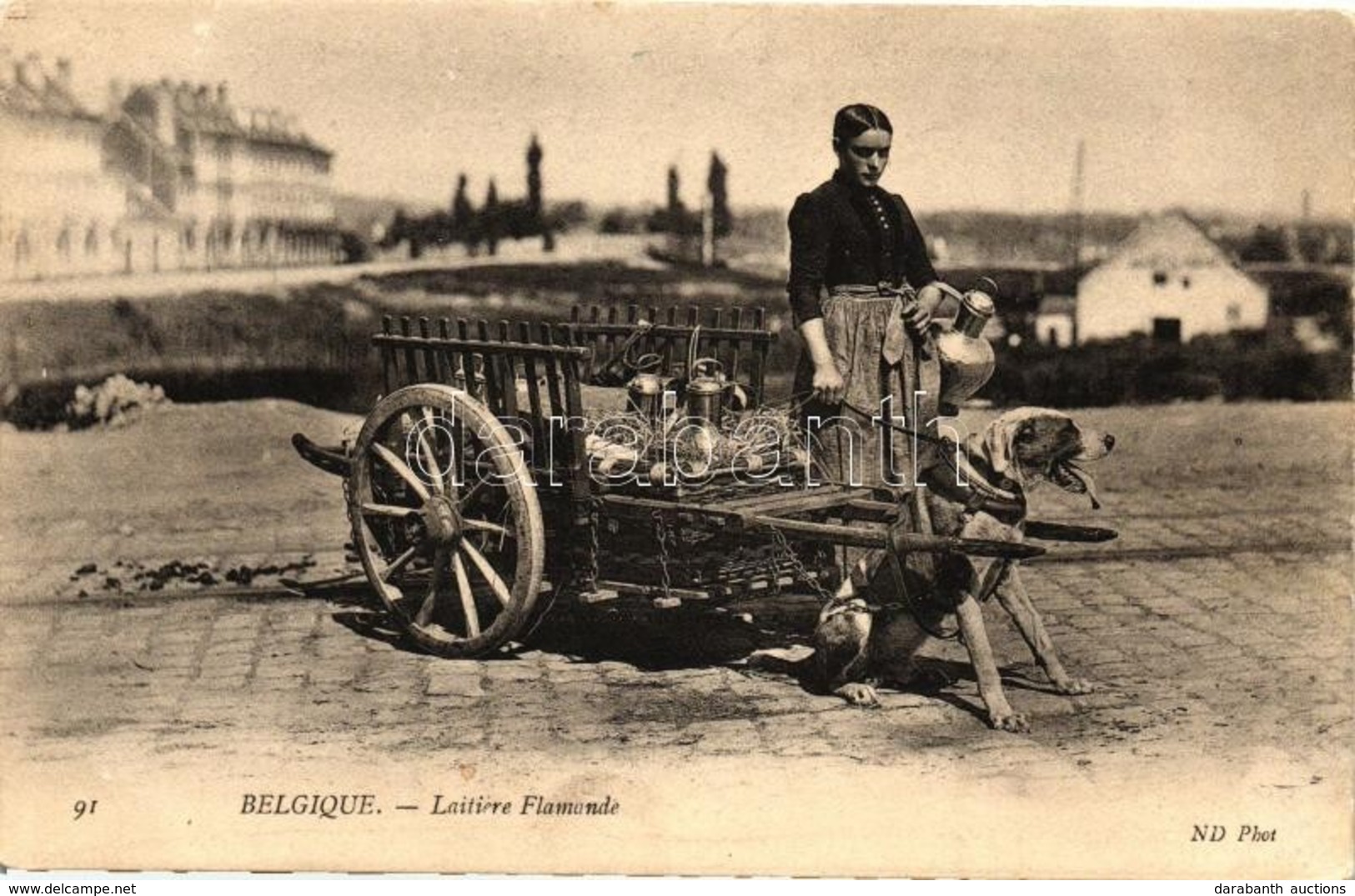 ** T2 Flemish Dairy, Brussels, Folklore, Dog Cart - Unclassified