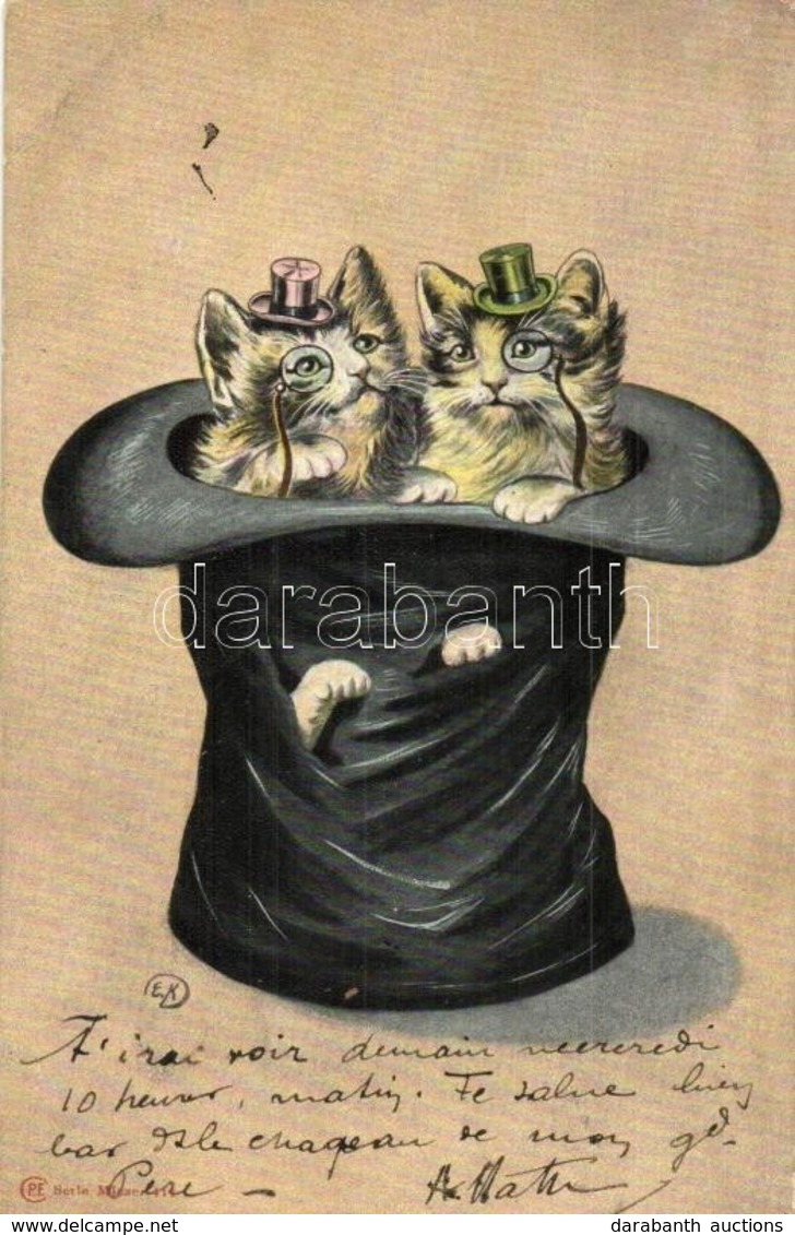 T2/T3 Cats In A Hat. P. F. Serie Mieze. 411. (EK) - Unclassified