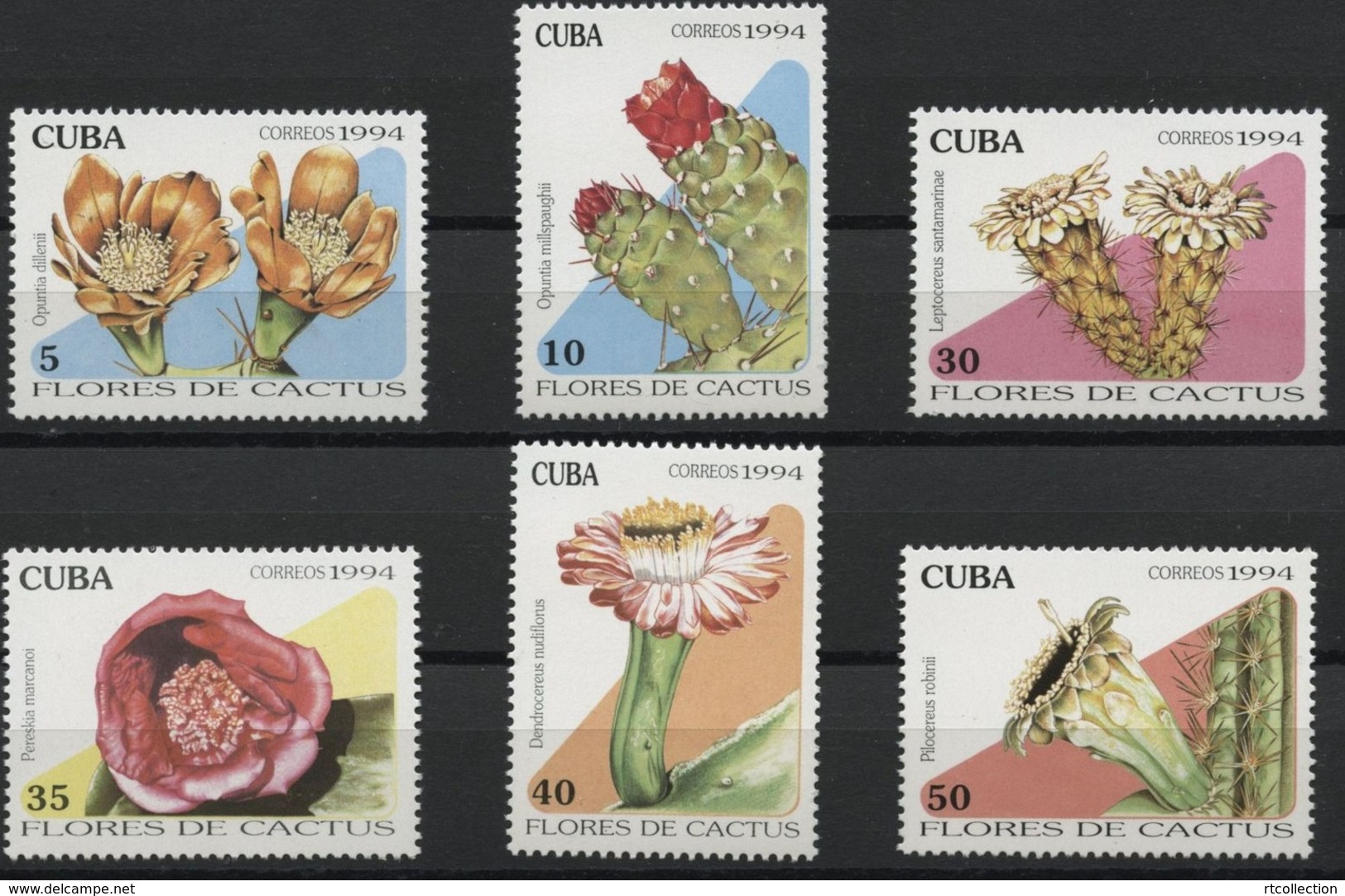 Cuba 1994 - One Set Of 6 Cacti Cactus Flora Flowers Flower Plants Plant Nature Opuntia Dillenii Stamps MNH - Neufs