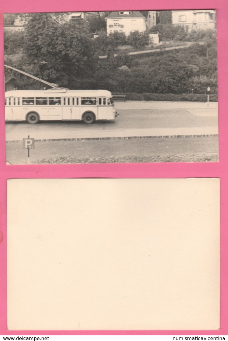 Tram Bus Pullman Auto Cars Wagen Voitures Old Photo - Automobili