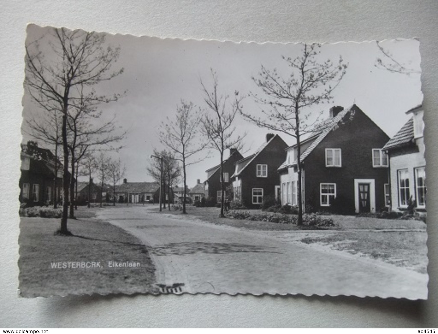 M50 Ansichtkaart Westerbork - Eikenlaan - 1962 - Autres & Non Classés