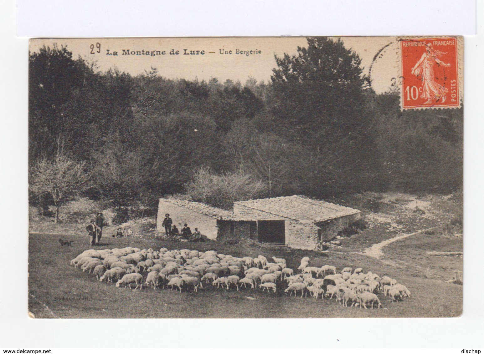 La Montagne De Lure. Alpes De Haute Provence. Une Bergerie. Troupeau De Moutons. Bergers. (2790) - Elevage