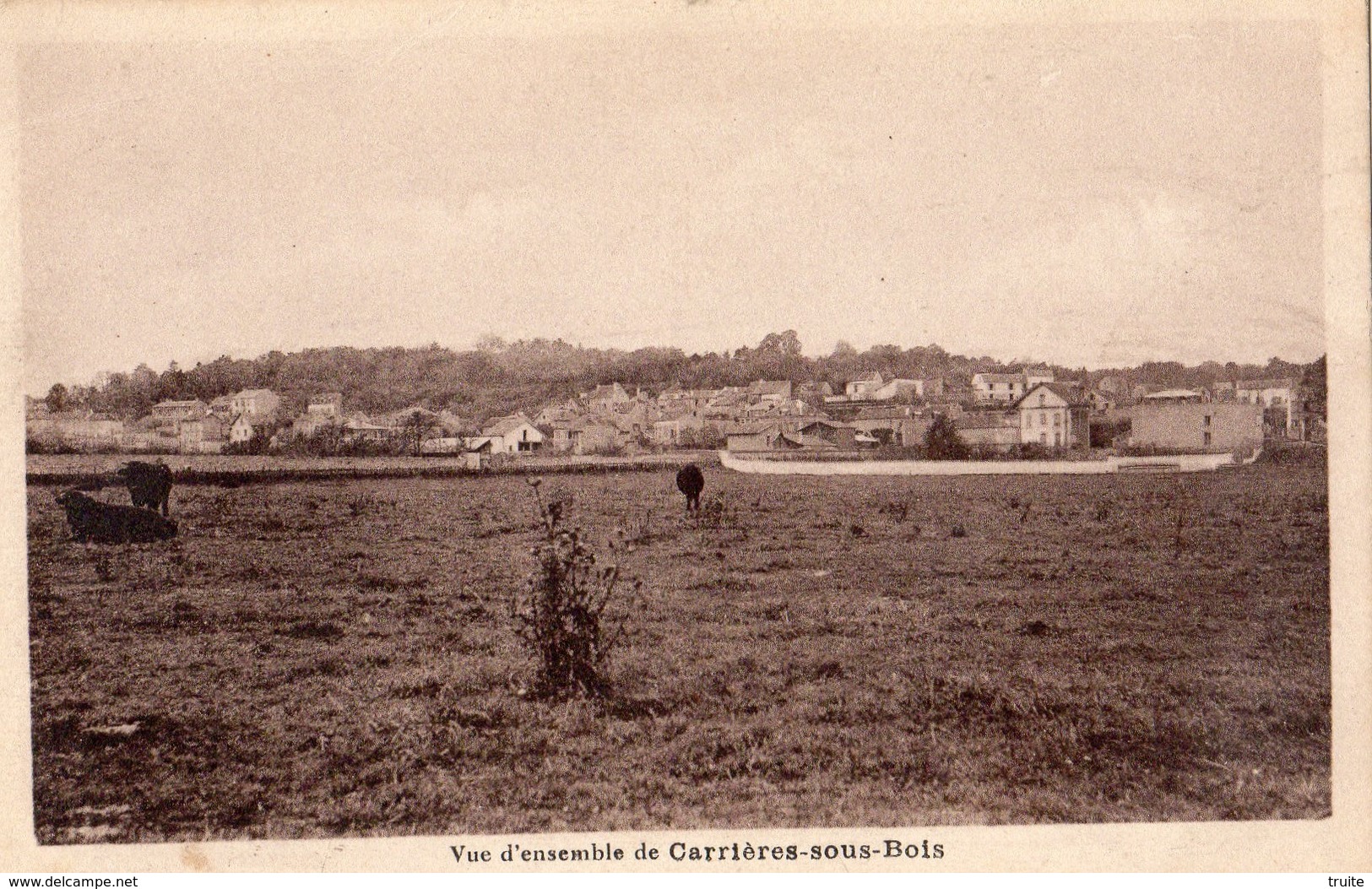 LE MESNIL-LE-ROI VUE D'ENSEMBLE DE CARRIERES-SOUS-BOIS - Autres & Non Classés