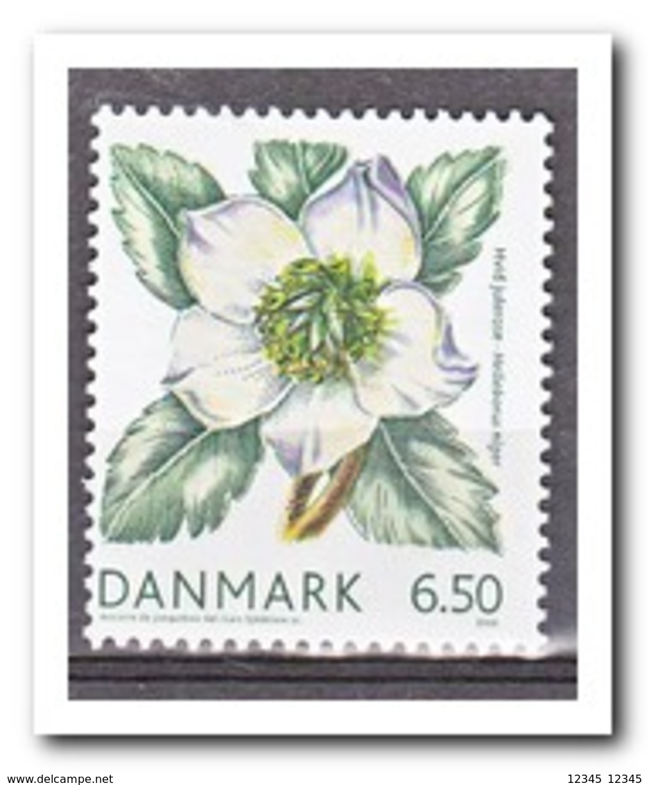 Denemarken 2008, Postfris MNH, Flowers - Nuevos
