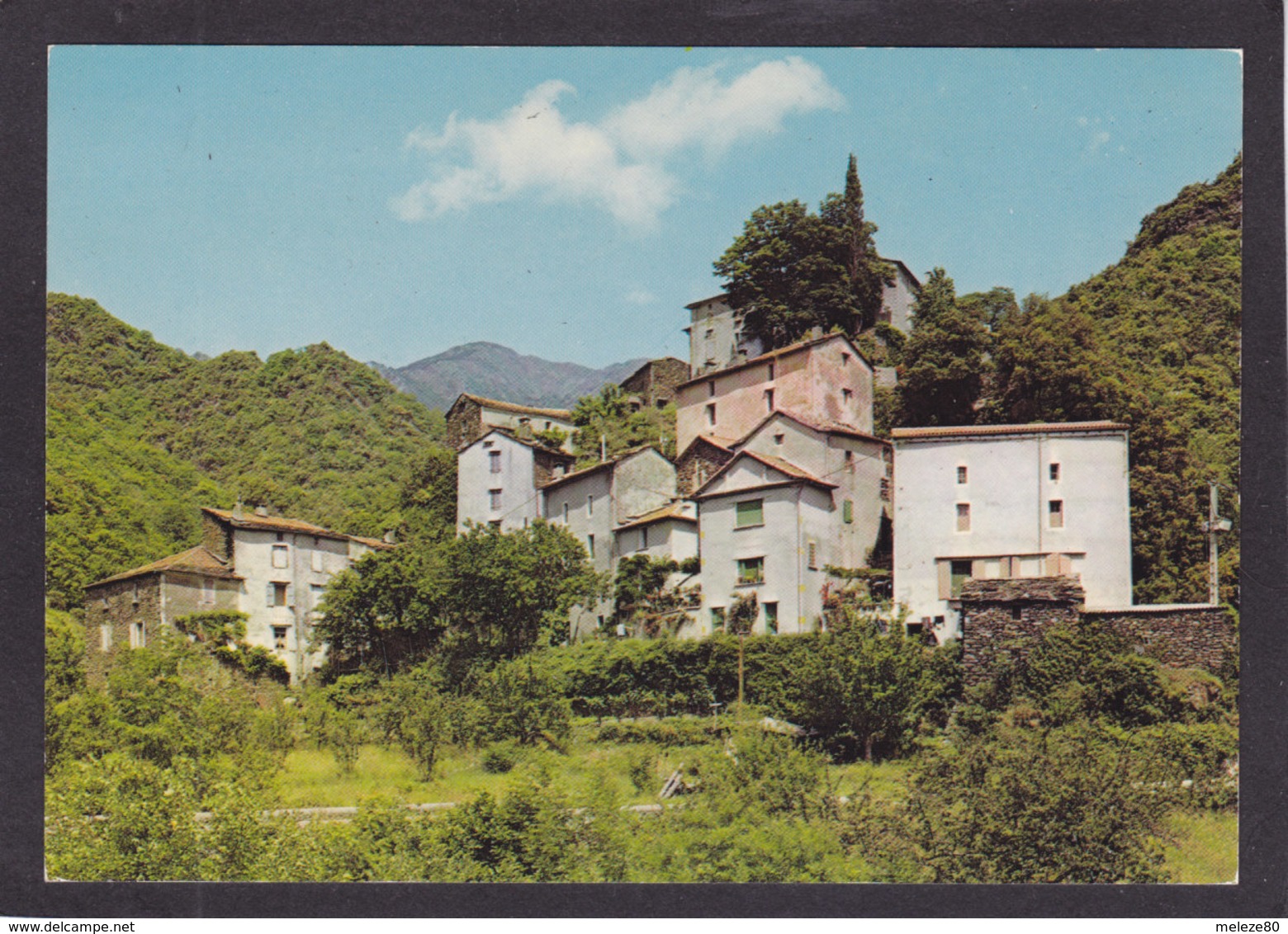 30  SALLES Près VALLERAUGUE  Village Du Mont Aigoual  Vers 1970 - Valleraugue