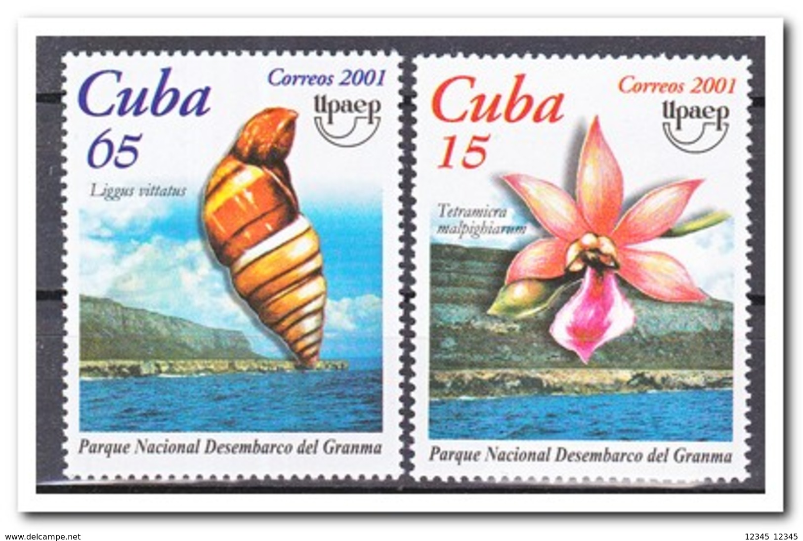 Cuba 2001, Postfris MNH, Flowers, Shells, Upaep - Ongebruikt