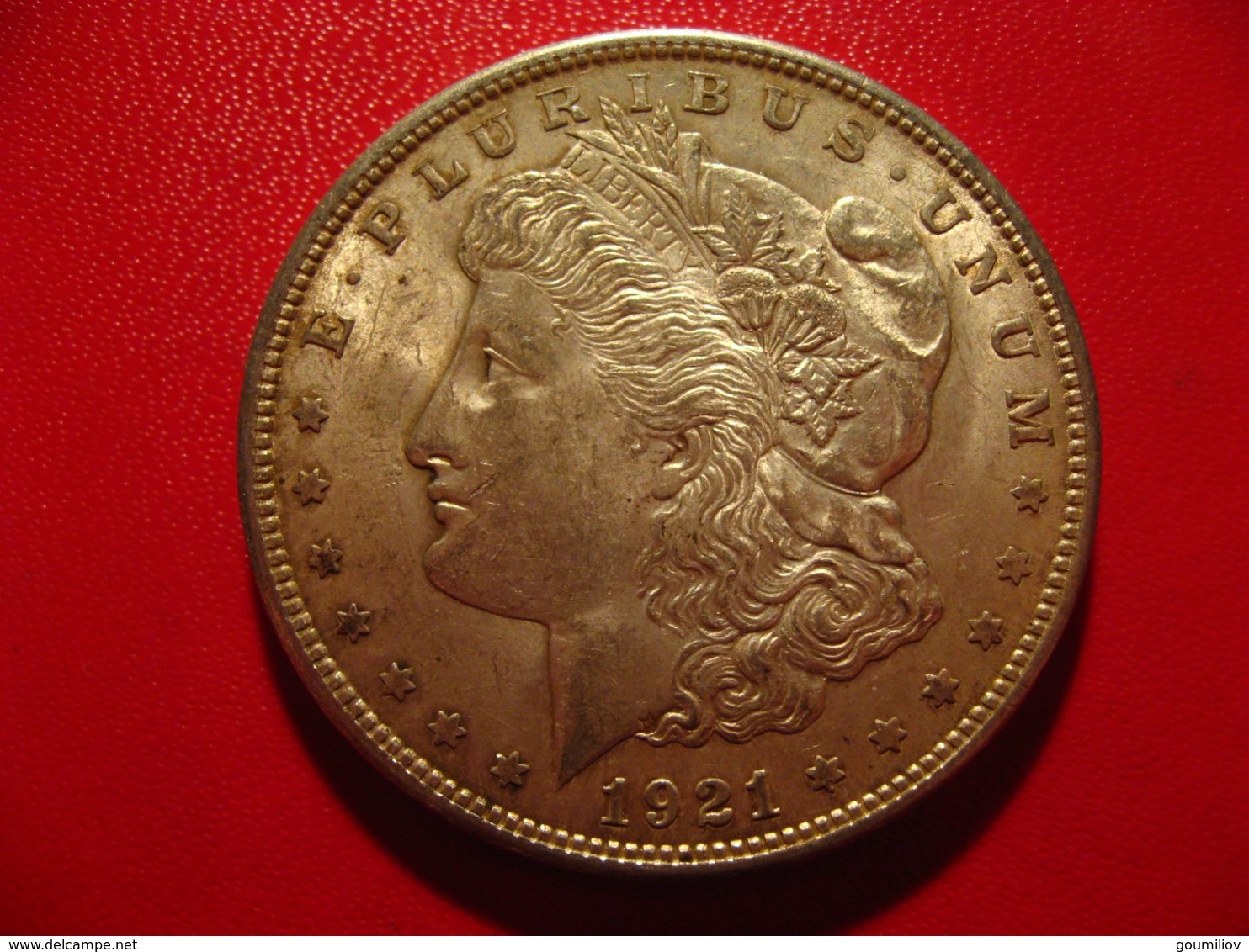 USA - Dollar 1921 Morgan 5667 (1) - 1878-1921: Morgan