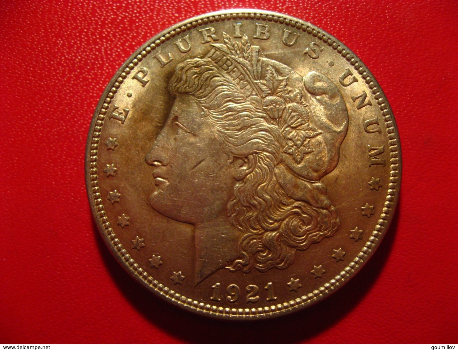 USA - Dollar 1921 Morgan 5693 (1) - 1878-1921: Morgan