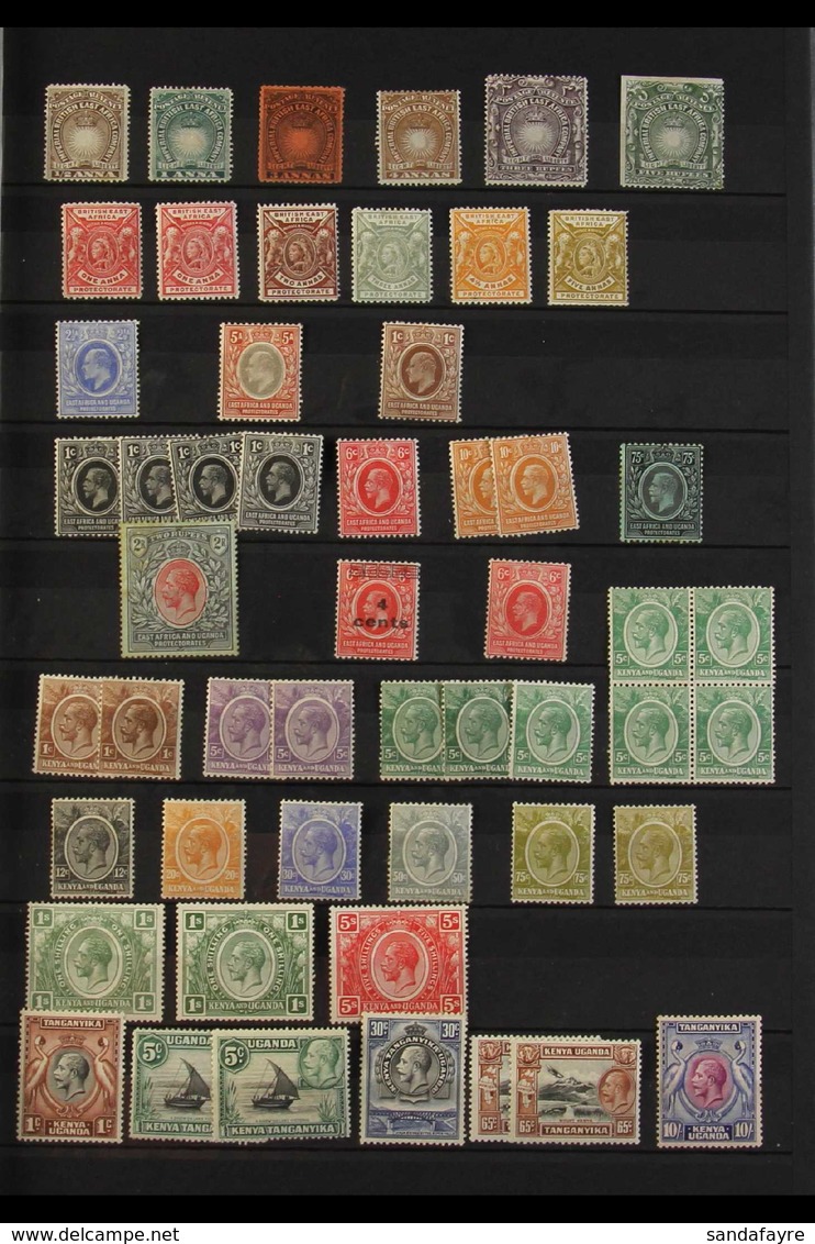 BRITISH EASTERN AFRICA QV To KGVI ATTRACTIVE MINT RANGES On Stockleaves, Mainly Fine Condition With Only Occasional Dupl - Sonstige & Ohne Zuordnung