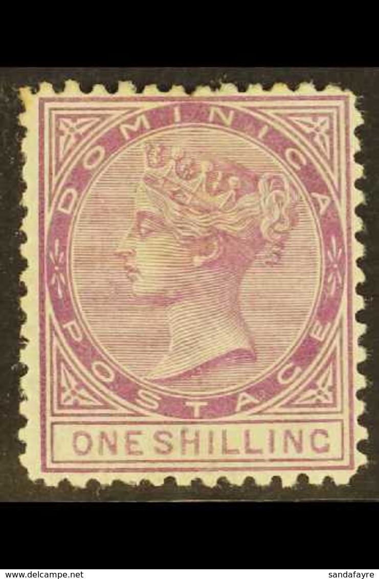 1874 1s Dull Magenta, Wmk Crown CC, P.12½, SG 3, Mint. For More Images, Please Visit Http://www.sandafayre.com/itemdetai - Dominica (...-1978)