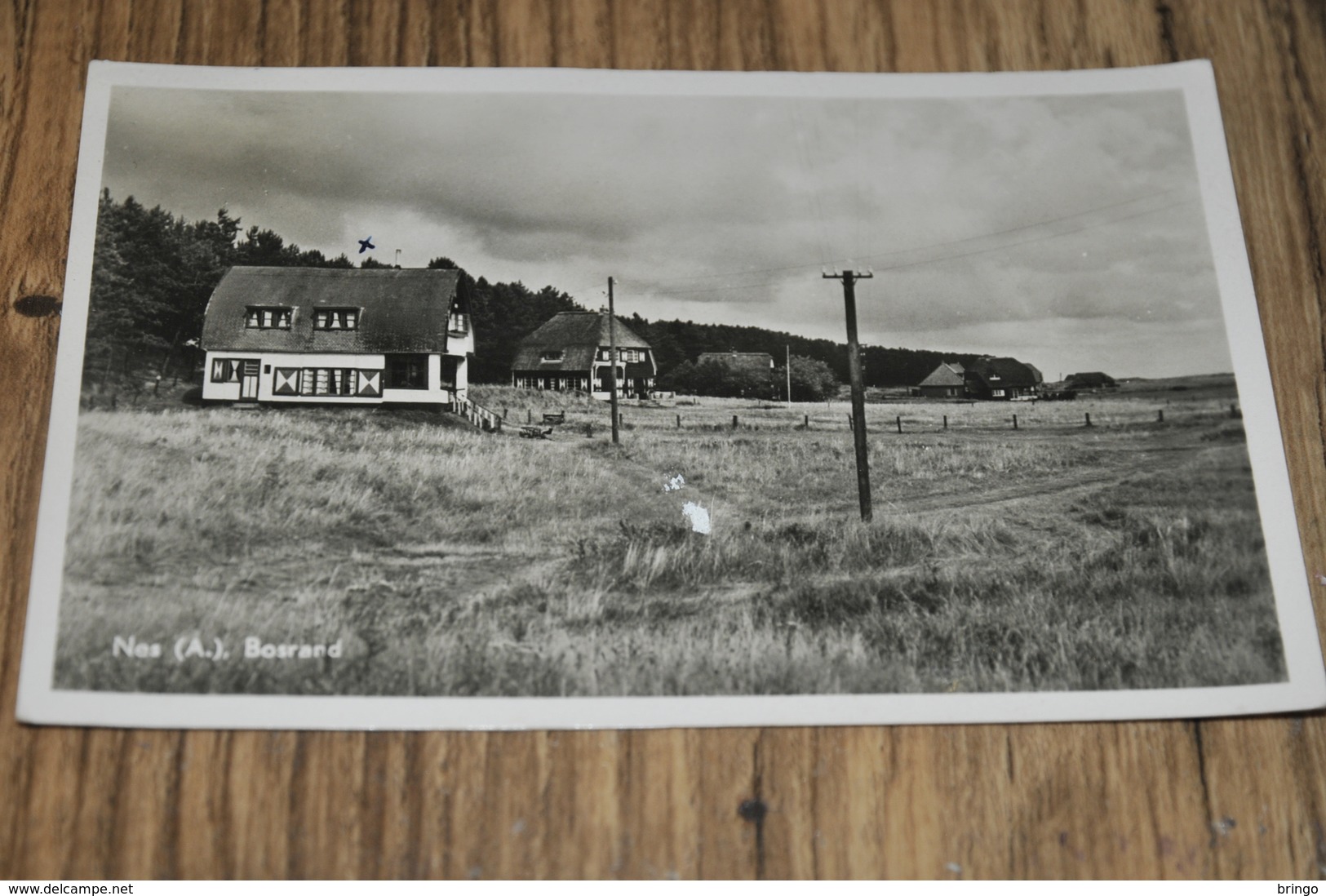 118-Nes, Bosrand - 1953 - Ameland