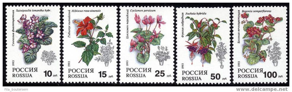 RUSSIA - RUSSIE - RUSLAND : 25-03-1993 (**) : Yvert : 5988-92  Set Of 5v : Indoor Plants - Neufs