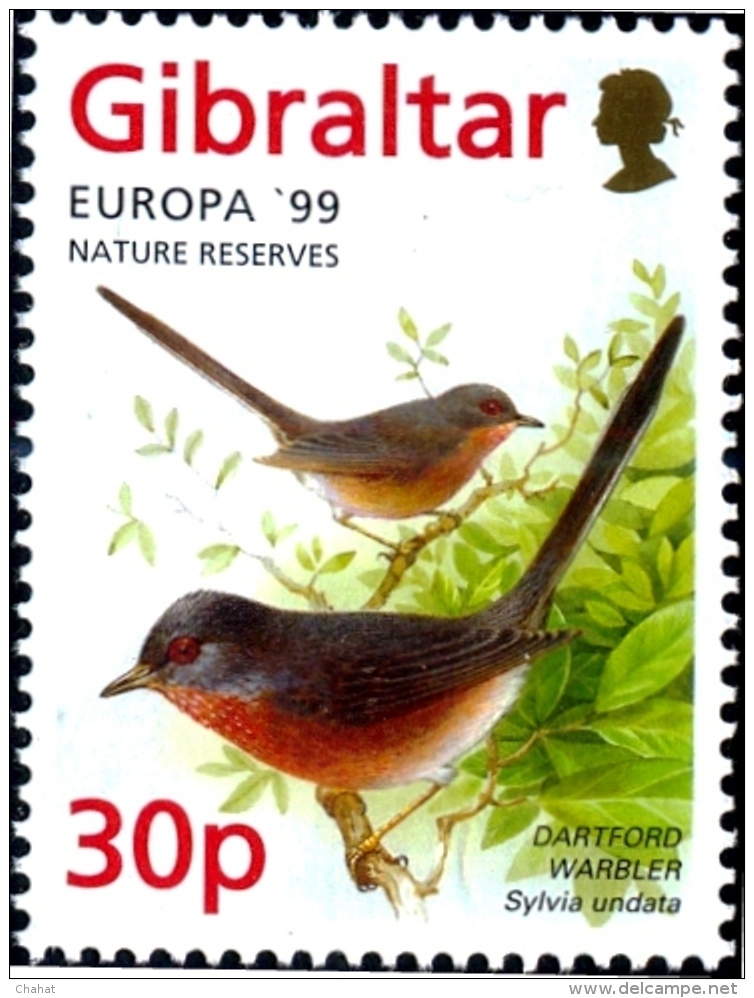 EUROPA-1999-NATURE RESERVES-BIRDS-MONKEY-FISH-SET OF 4-GIBRALTAR-SCARCE-MNH-B9-847 - 1999