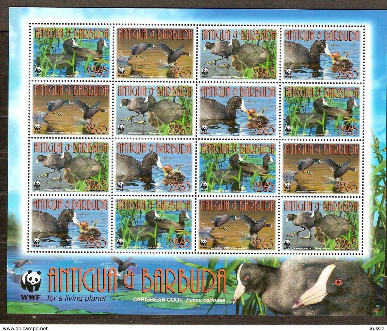 Antigua & Barbuda 2009 Yvertn° 4002-4005 *** MNH WWF Faune Oiseaux Vogels Feuillet Complète Cote 43,20 Euro - Antigua Et Barbuda (1981-...)