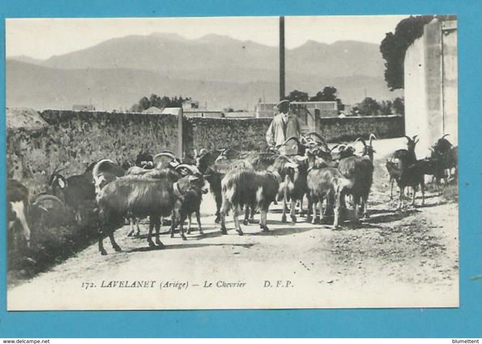 CPA 172 - Le Chevrier Et Ses Chèvres LAVELANET 09 - Lavelanet