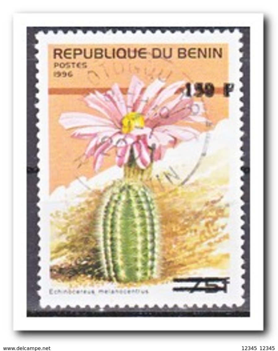 Benin 2000, Gestempeld USED, Overprint, Plants, Flowers, Cacti - Benin – Dahomey (1960-...)