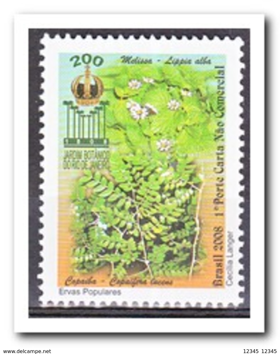 Brazilië 2008, Postfris MNH, Plants - Ongebruikt