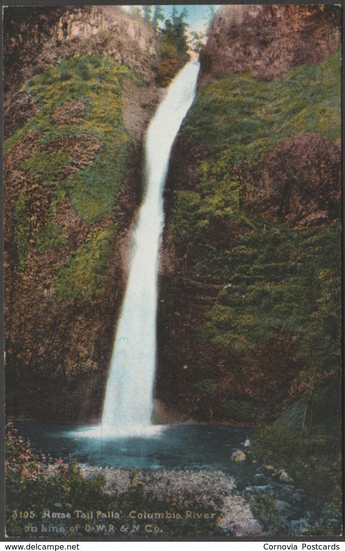 Horse Tail Falls, Columbia River, Oregon, C.1910 - Edward H Mitchell Postcard - Other & Unclassified