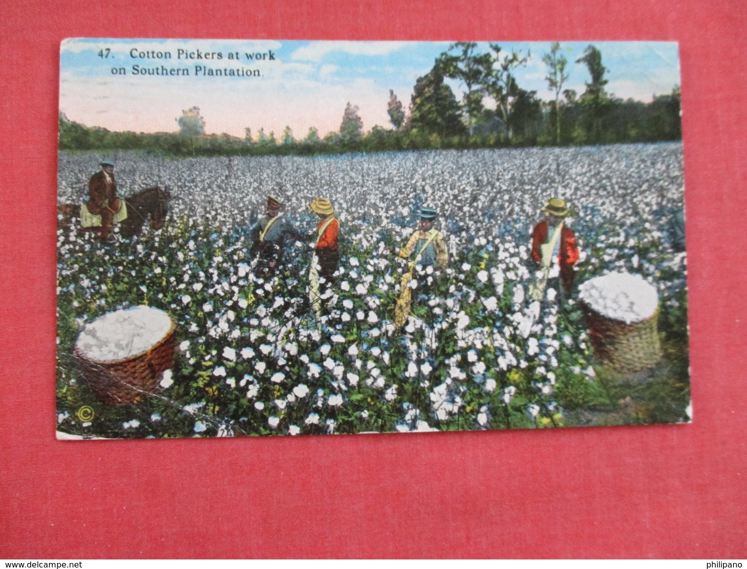 Black Americana Cotton Pickers At Work On Southern Plantation Ref 2951 - Black Americana