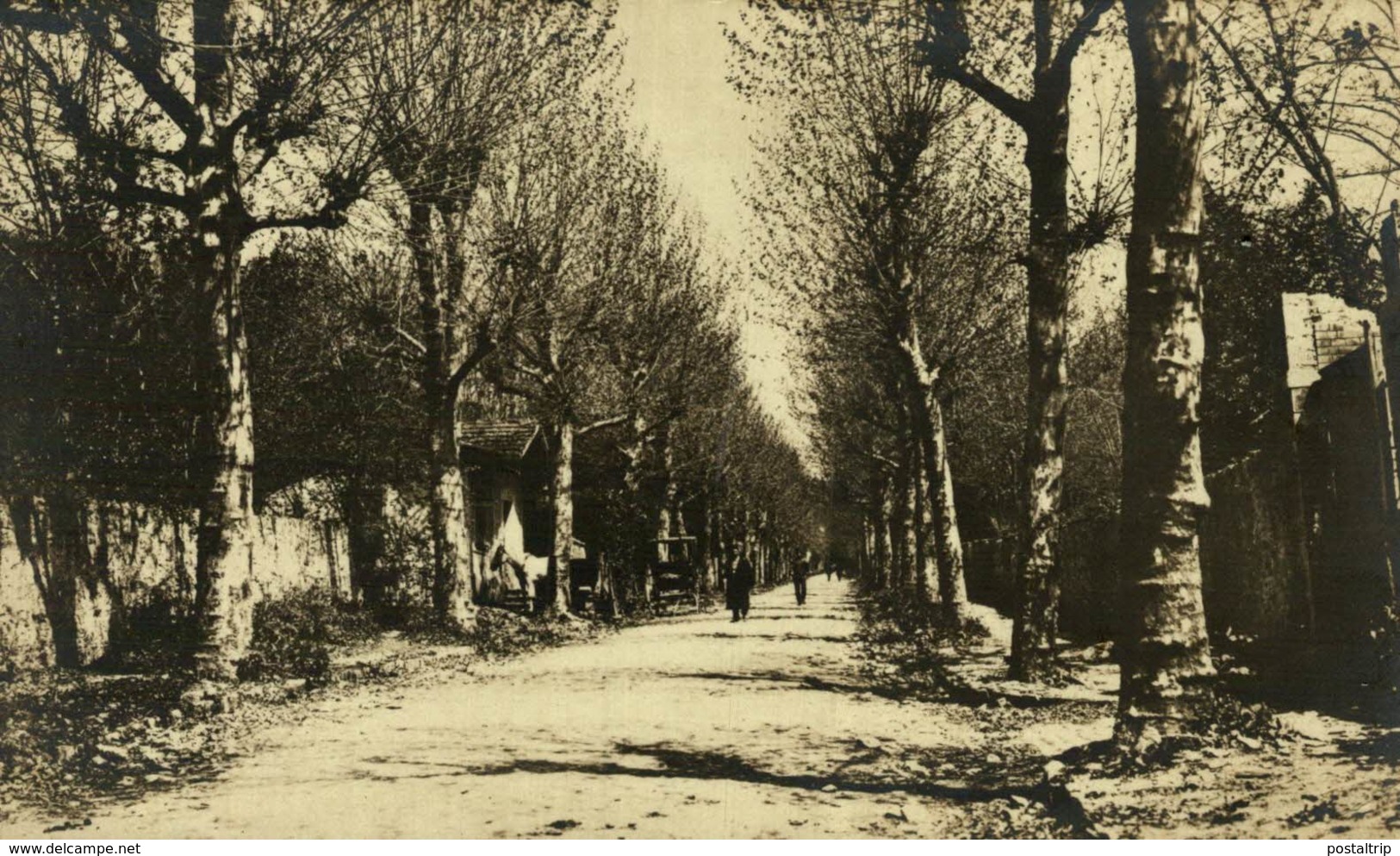 Constantinople / Istanbul RPPC   BOIS DE BEYCOS (BOSPHORE)  Turquie    TURQUIA - Turquia