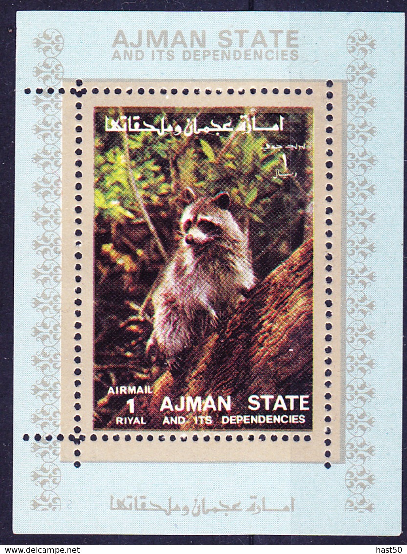 Ajman - Waschbär (Procyon Lotor) (MiNr: Bl. 2835) 1973 - Postfrisch MNH - Adschman