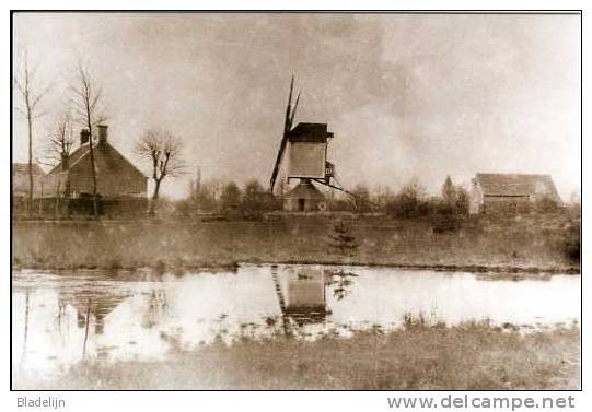 WORTEL Bij Hoogstraten (Antw.) Molen/moulin - Zeldzame Oude Opname Van De Houten Molen Schellekens, Afgebrand In 1905 - Hoogstraten