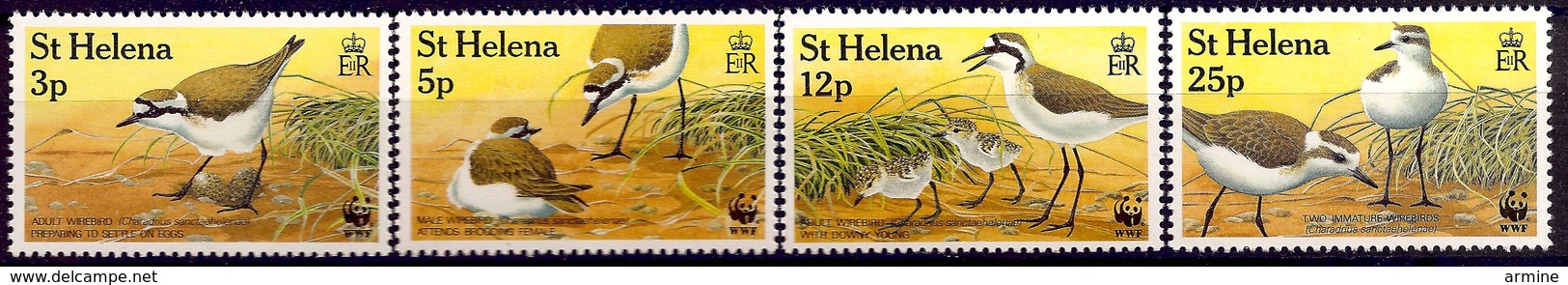 SAINT HELENE 1993 (Yvert 586-88-591) - WWF Pluvier (MNH) Sans Trace De Charnière - 028 - Sainte-Hélène
