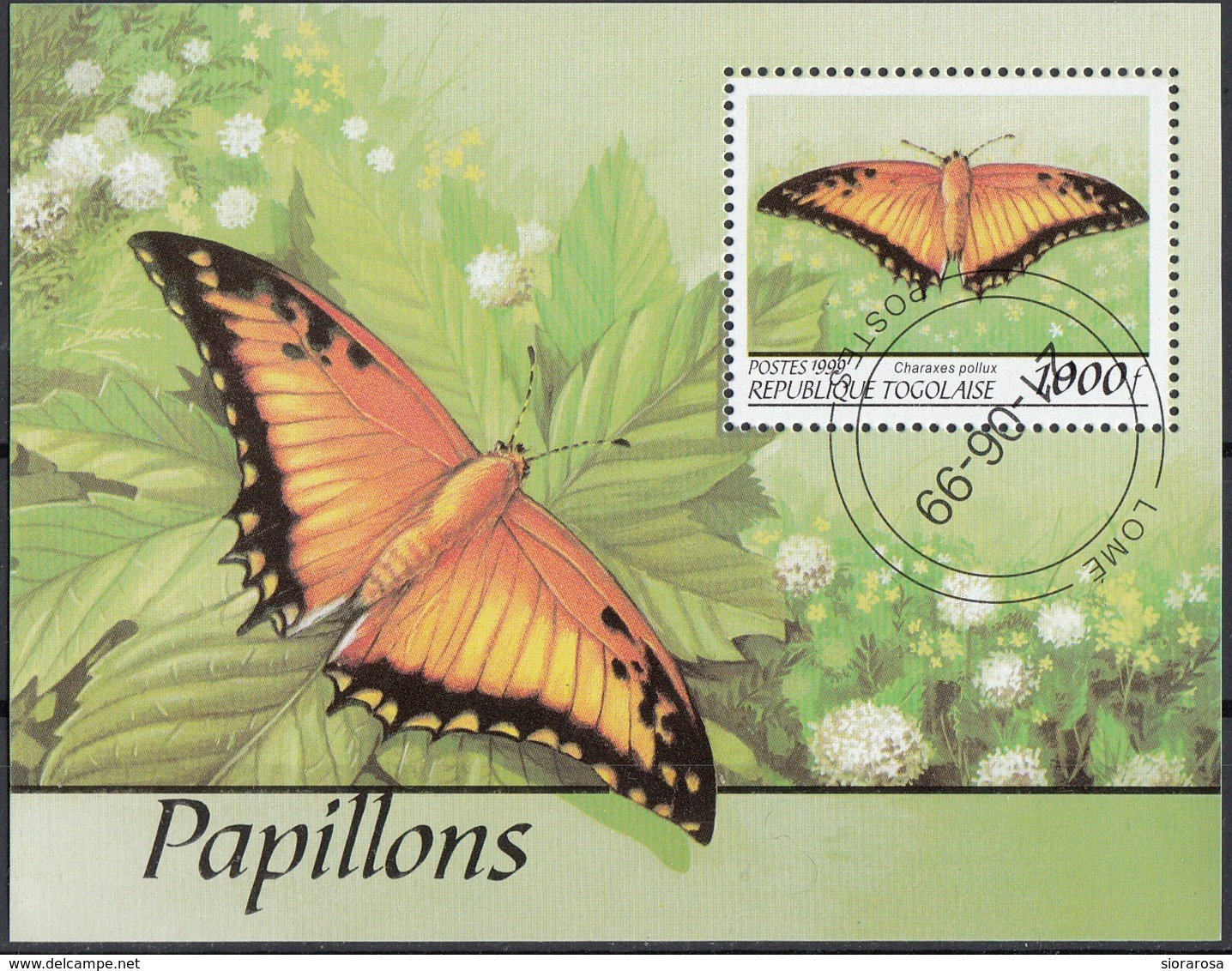 Togo 1999 Sc. 1861H Farfalle Butterflies Mariposas Papillons  Charaxes Pollux Sheet CTO Perf. - Togo (1960-...)