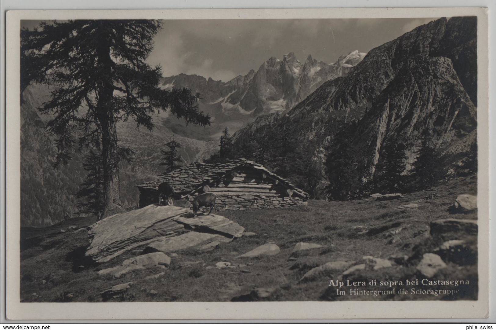 Alp Lera Di Sopra Bei Castasegna - Im Hintergrund Die Scioragruppe - Photo: P. Clavadetscher - Castasegna