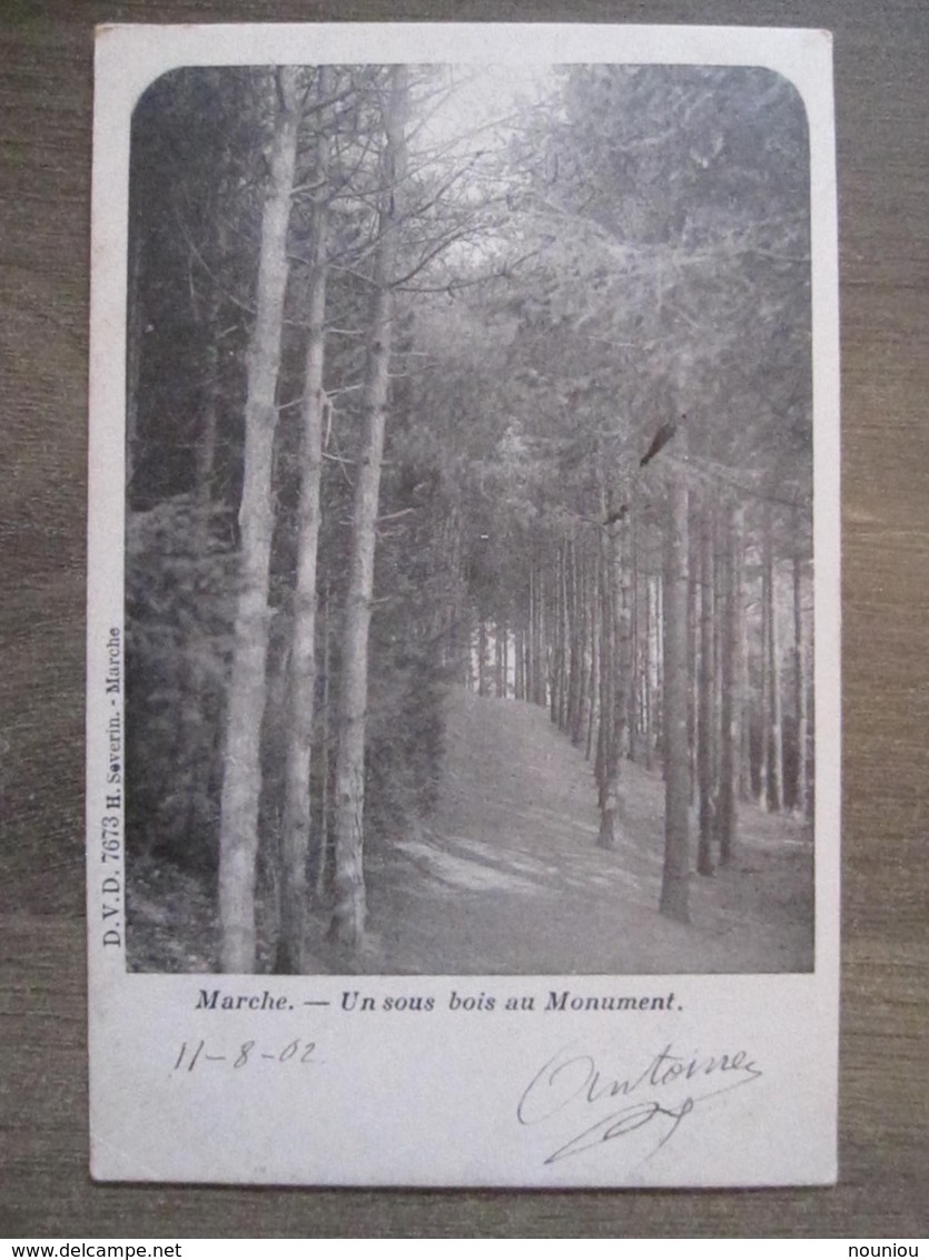 Cpa Marche En Famenne - Un Sous Bois Au Monument - D.V.D. 7673 Severin Marche - 1902 - Marche-en-Famenne