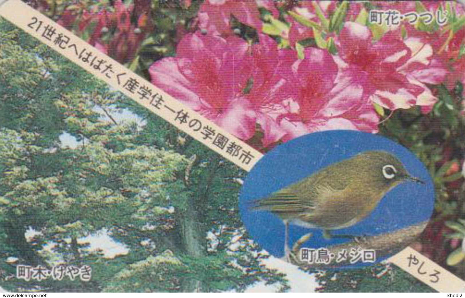 RARE Télécarte Japon / 110-011 - Animal - OISEAU - FAUVETTE & Fleur - ZOSTEROPS BIRD & Flower Japan Phonecard - 4446 - Sperlingsvögel & Singvögel