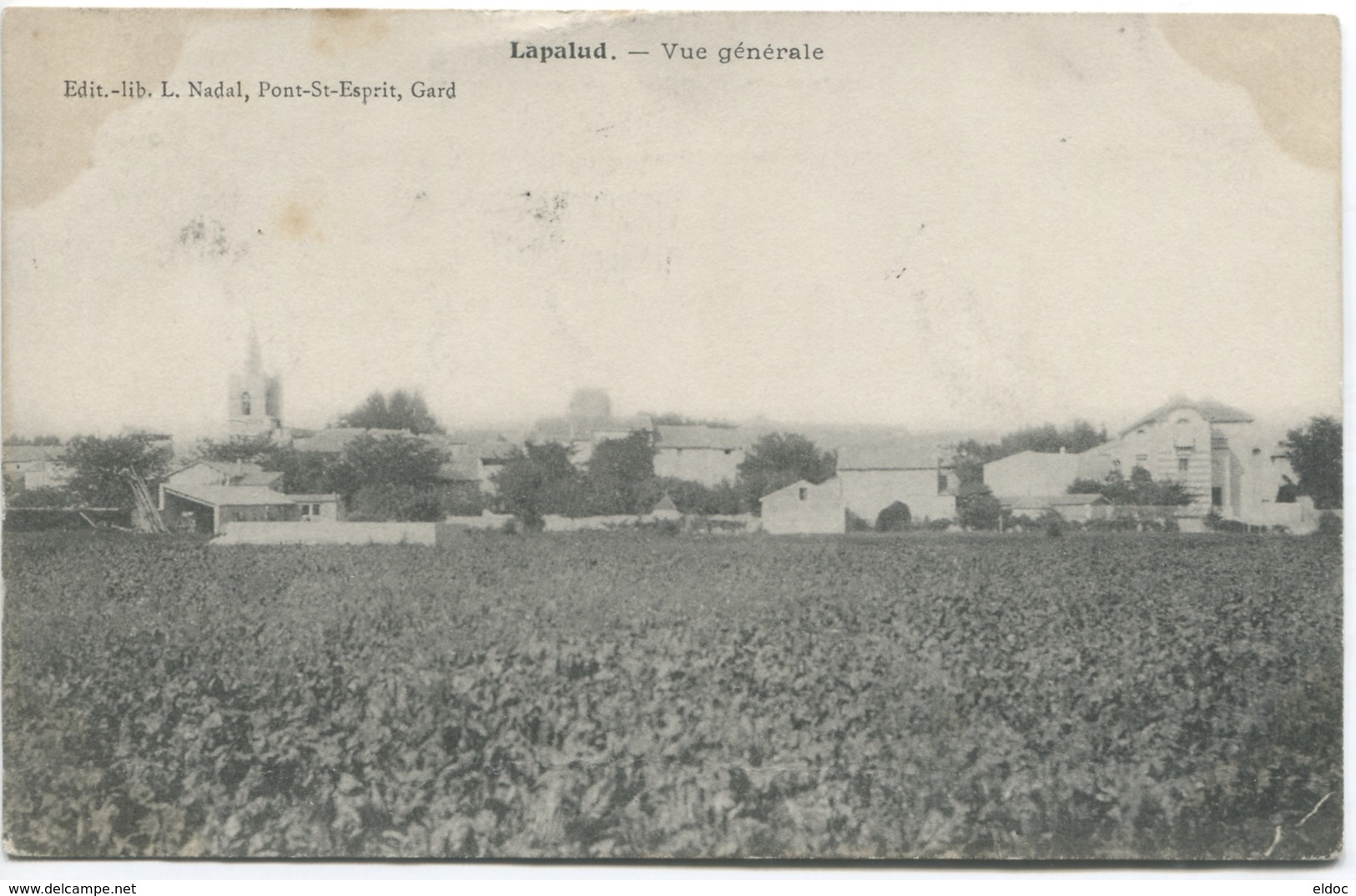 LAPALUD (Vaucluse) TVue Générale / 1905 - Lapalud