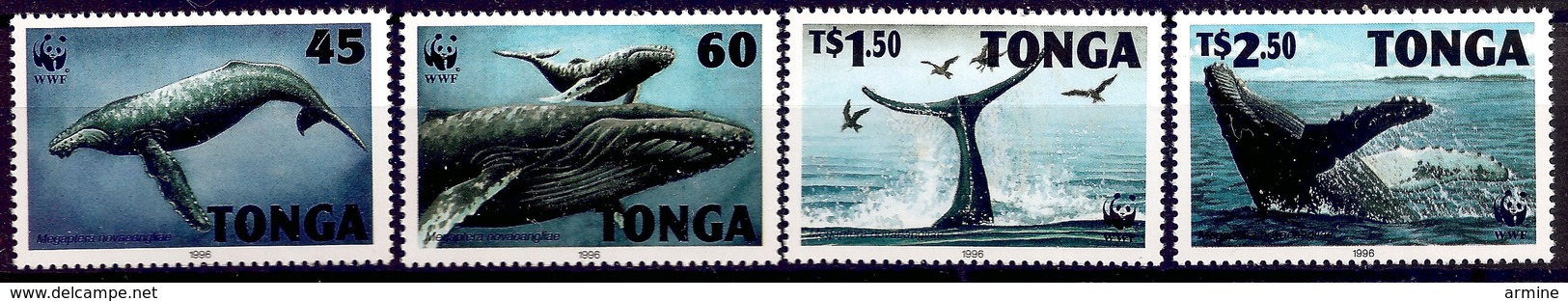 TONGA 1996 (Yvert 1040-43) - WWF Baleine (MNH) Sans Trace De Charnière - 030 - Tonga (1970-...)