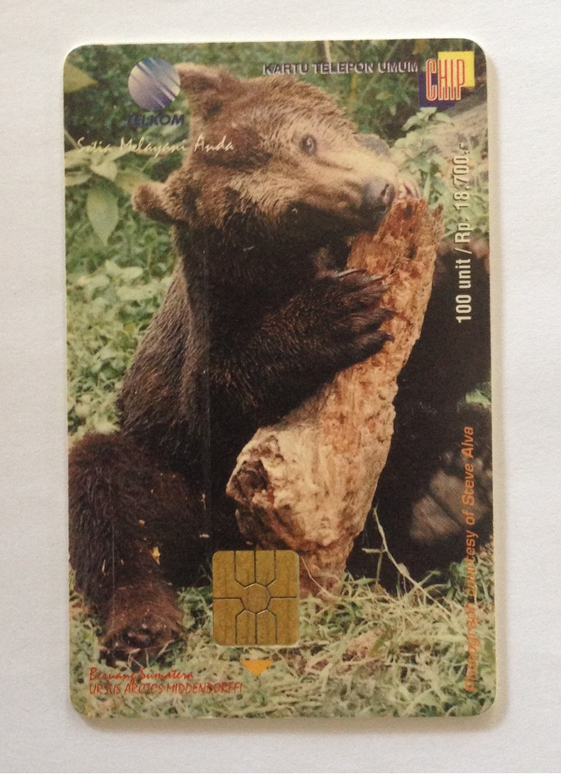 Indonesie Telefoonkaart - Telkom Indonesia (Sumatra Brown Bear) Beruang Sumatra 100 Unit (Used) - Indonesië