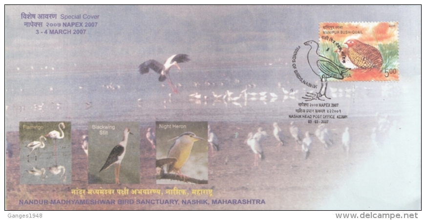 India  2007  Cranes  Birds  Nandur Bird Sanctuary  Special Cover   #  10841   D  Inde Indien - Cranes And Other Gruiformes