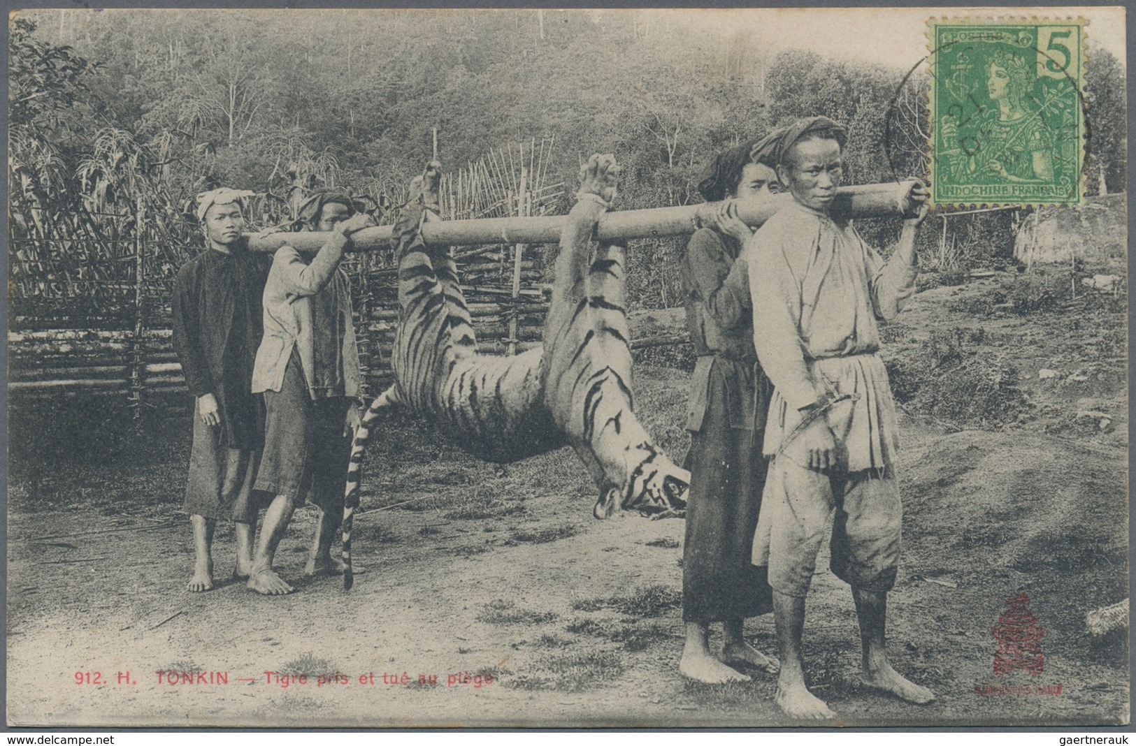 08440 Französisch-Indochina: 1916. Picture Post Card Of 'Hunter With Tiger' Addressed To Hanoi Bearing Ind - Briefe U. Dokumente