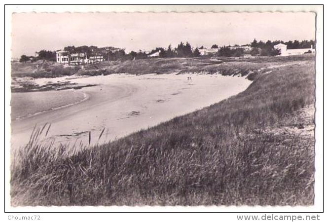 (85) 056, Ile De Noirmoutier, L'Herbaudière, Nozais 23 H, L'Anse De Luzéronde - Noirmoutier