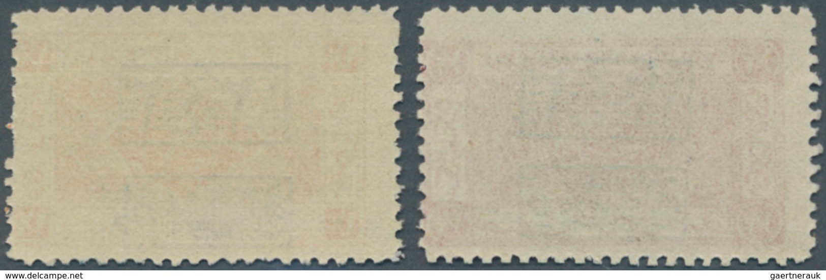 09691 Saudi-Arabien - Hedschas: 1925, 1/2 Pi. Red And 1 1/2 Pi. Orange Showing Variety "horizontal Overpri - Arabie Saoudite