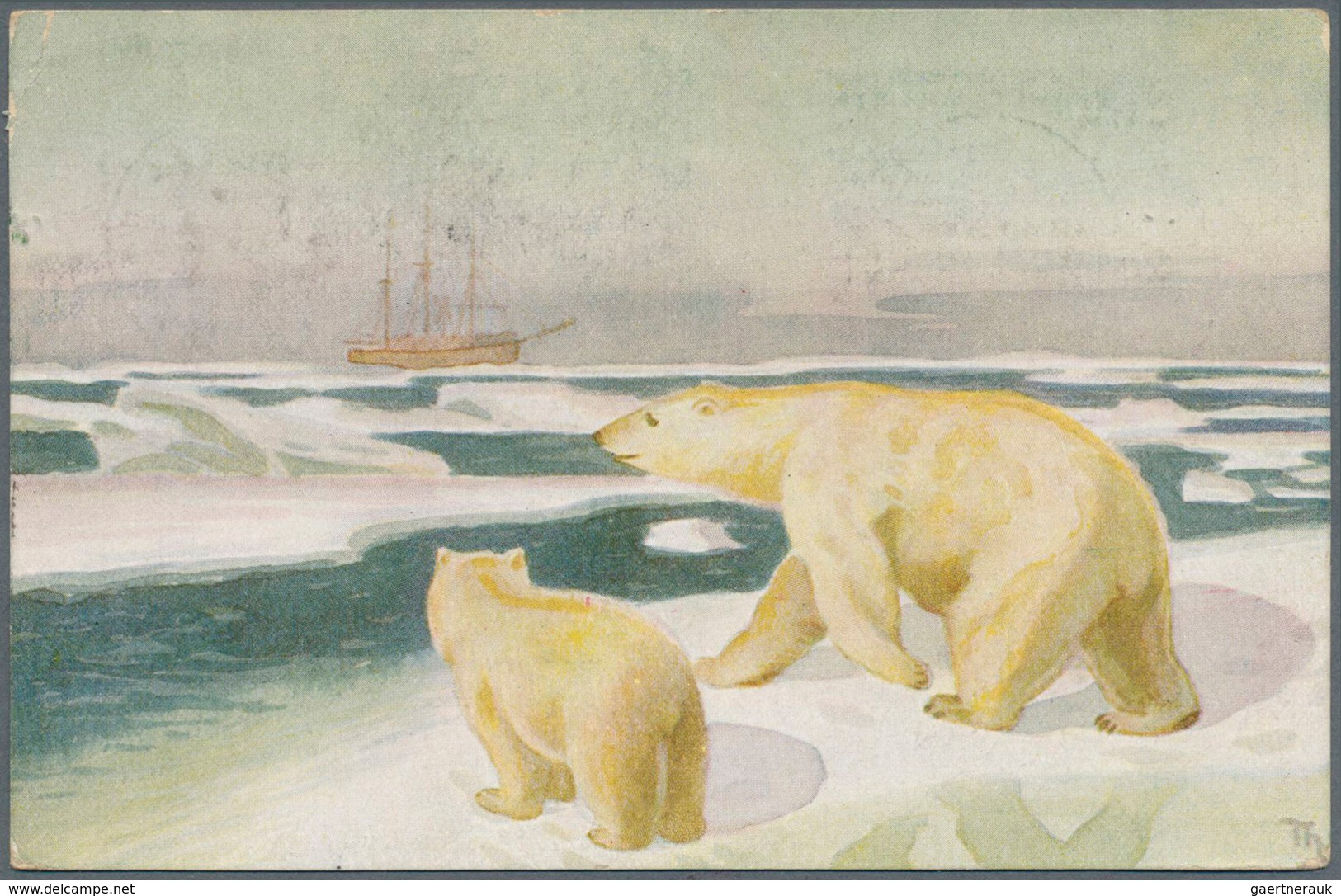 10163 Thematik: Arktis & Antarktis / Arctic & Antarctic: 1918, Norway. Lot Of 5 Different FRAM-cards. All - Sonstige & Ohne Zuordnung