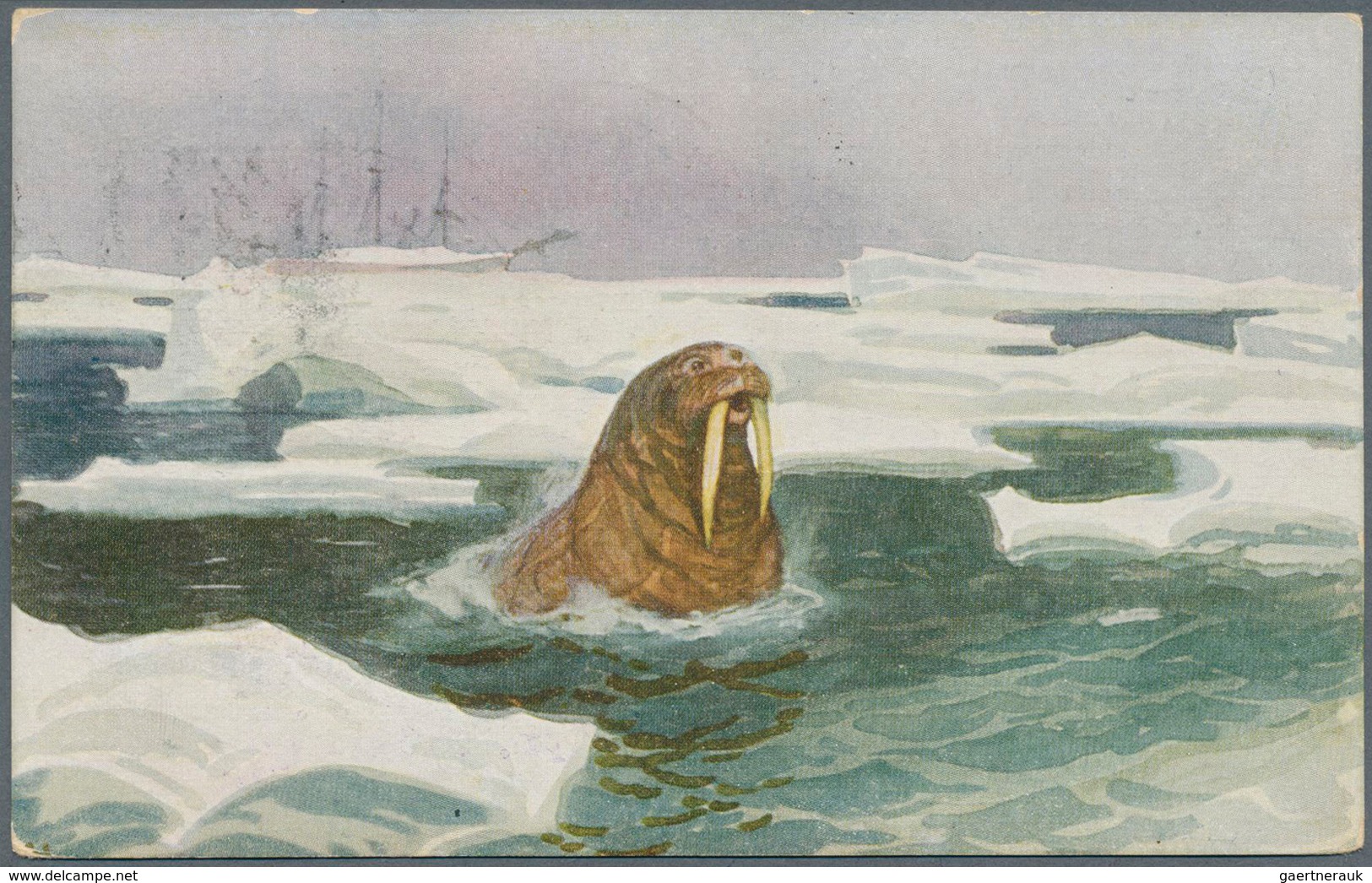 10163 Thematik: Arktis & Antarktis / arctic & antarctic: 1918, Norway. Lot of 5 different FRAM-cards. All