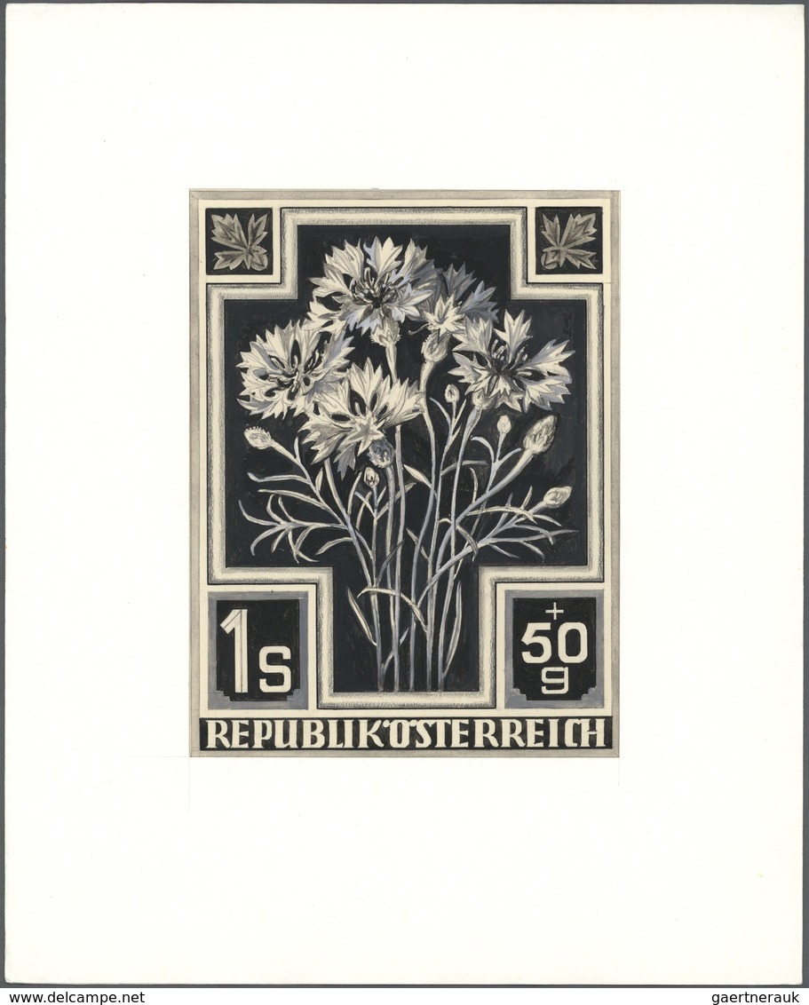 10230 Thematik: Flora, Botanik / Flora, Botany, Bloom: 1948, Austria. Artist's Drawing For An Unissued 1.5 - Autres & Non Classés