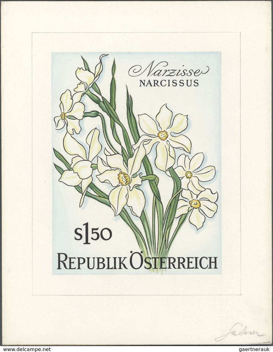 10231 Thematik: Flora, Botanik / Flora, Botany, Bloom: 1964 (approx), Austria. Artist's Drawing For An Uni - Sonstige & Ohne Zuordnung