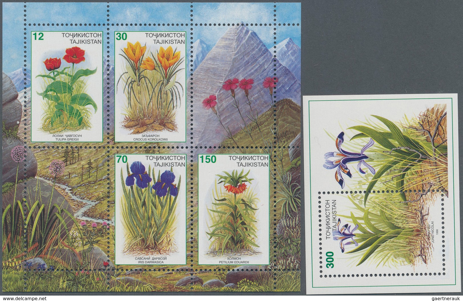 10237 Thematik: Flora, Botanik / Flora, Botany, Bloom: 1998, TAJIKISTAN: Native FLOWERS Three Different St - Autres & Non Classés