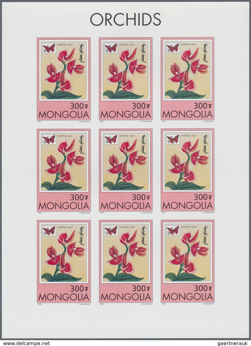 10246 Thematik: Flora-Orchideen / flora-orchids: 1997, MONGOLIA: Orchids 'Catasetum pileatum' 300t. sheetl