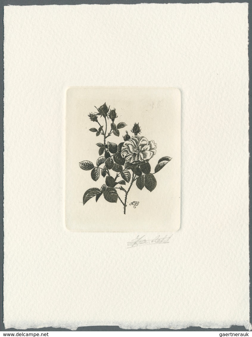 10251A Thematik: Flora-Rosen / Flora-roses: 1989, Belgium. Epreuve D'artiste Signée In Black For The Stamp - Roses