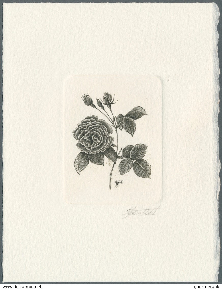 10251C Thematik: Flora-Rosen / Flora-roses: 1990, Belgium. Epreuve D'artiste Signée In Black For The Stamp - Roses