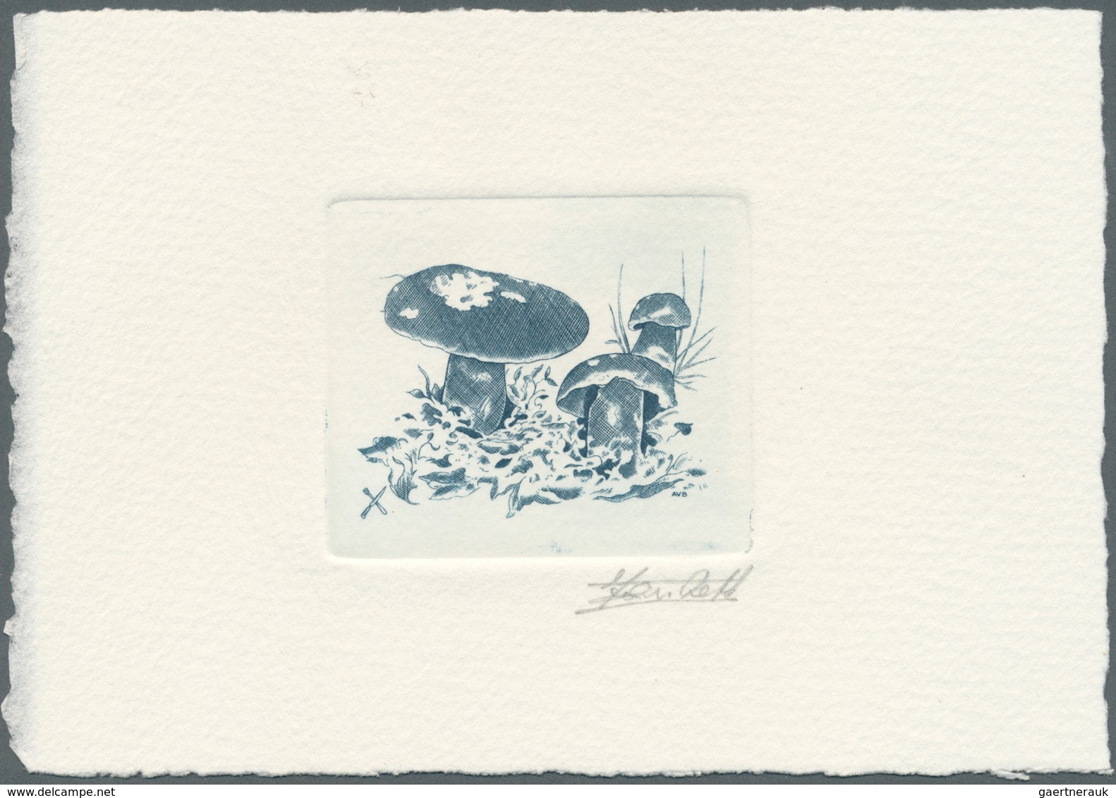 10713A Thematik: Pilze / Mushrooms: 1991, Belgium. Epreuve D'artiste Signée In Bluish-black For The Stamp B - Pilze