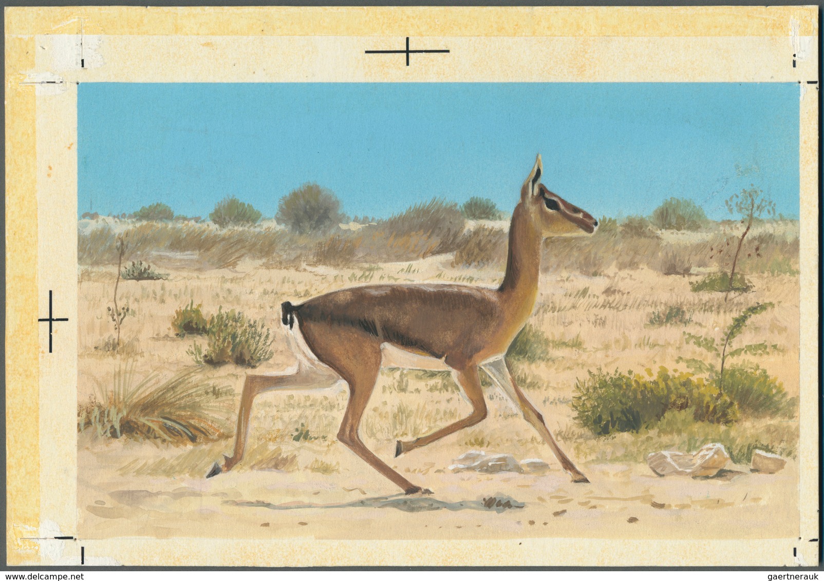 11022 Thematik: Tiere, Fauna / Animals, Fauna: 1982, Bahrain. Artist's Drawing For The First 100f Value Of - Sonstige & Ohne Zuordnung