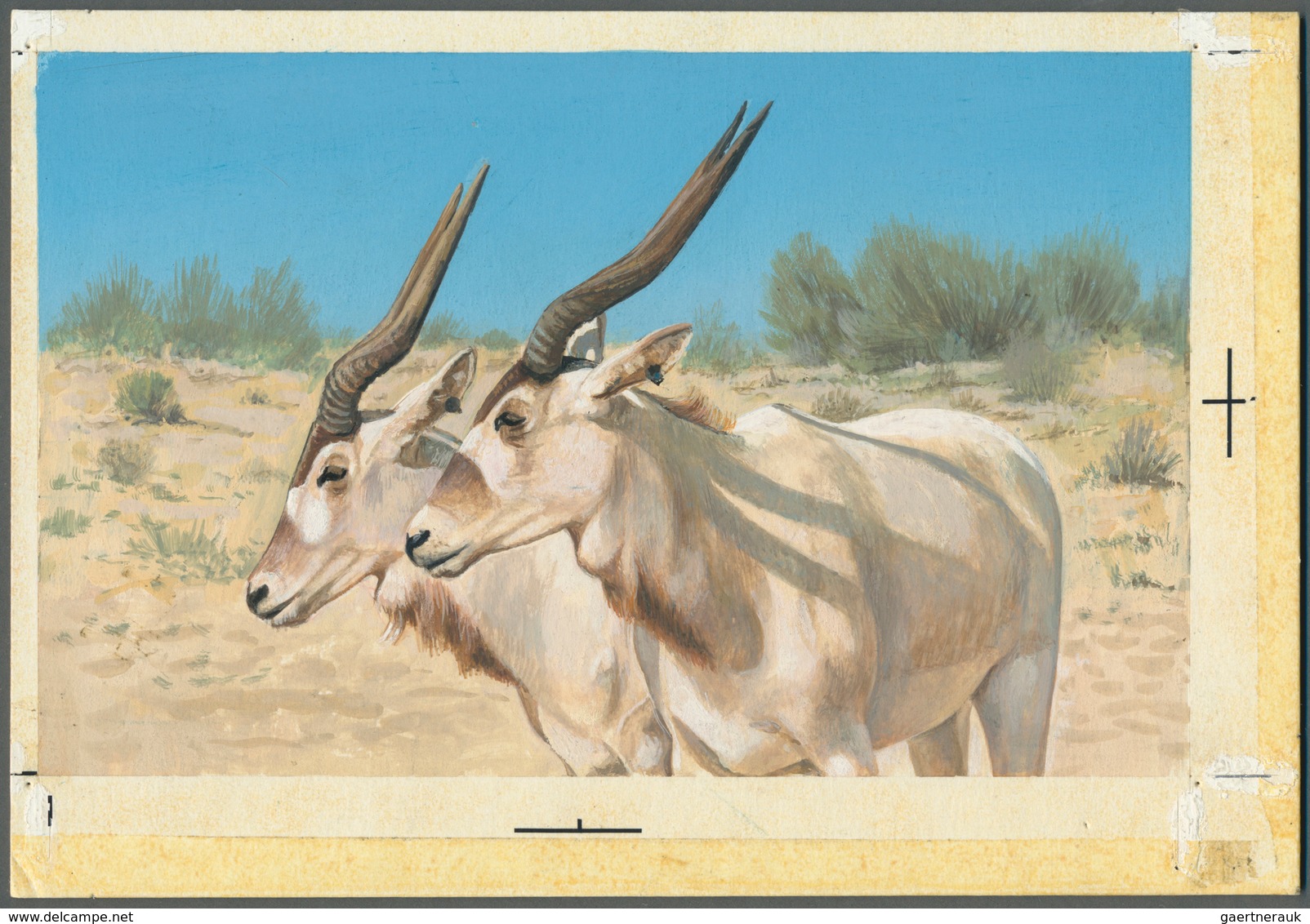 11027 Thematik: Tiere, Fauna / Animals, Fauna: 1982, Bahrain. Artist's Drawing For The Sixth 100f Value Of - Autres & Non Classés