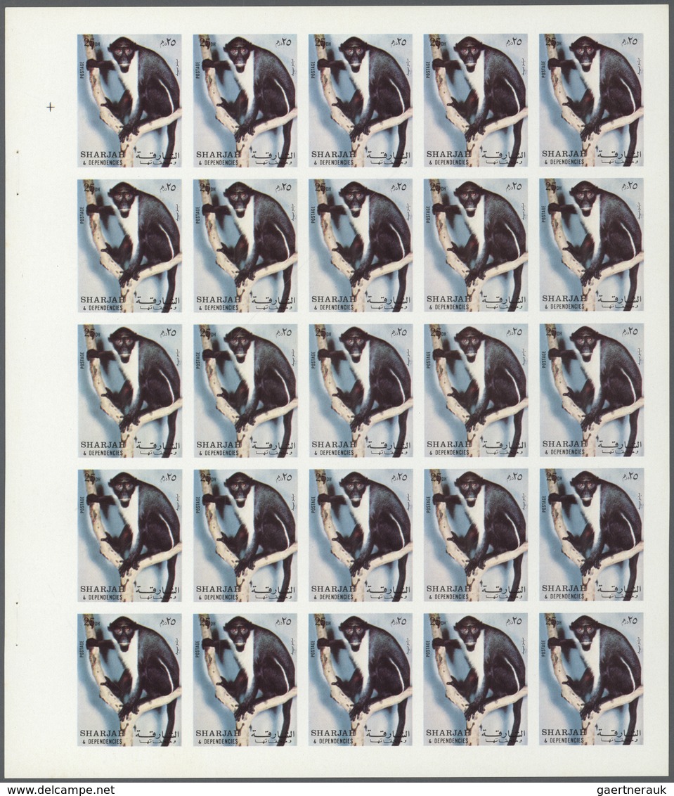 11031 Thematik: Tiere-Affen / Animals-monkeys: 1972. Sharjah. Progressive Proof (5 Phases) In Complete She - Singes